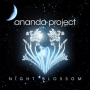 Ananda_Project___49c2b73247416.jpg