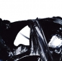 Flying_Lotus___L_49bf228965aa8.jpg