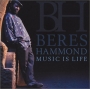 Beres_Hammond____49d286f012cd8.jpg