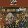 marv-want